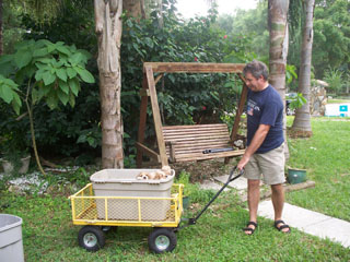 cart
